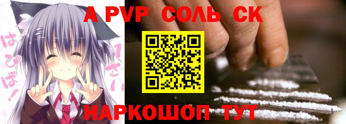 APVP СК Кузнецк