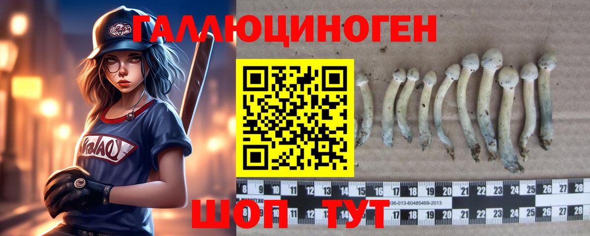 Псилоцибиновые грибы Cubensis Кузнецк